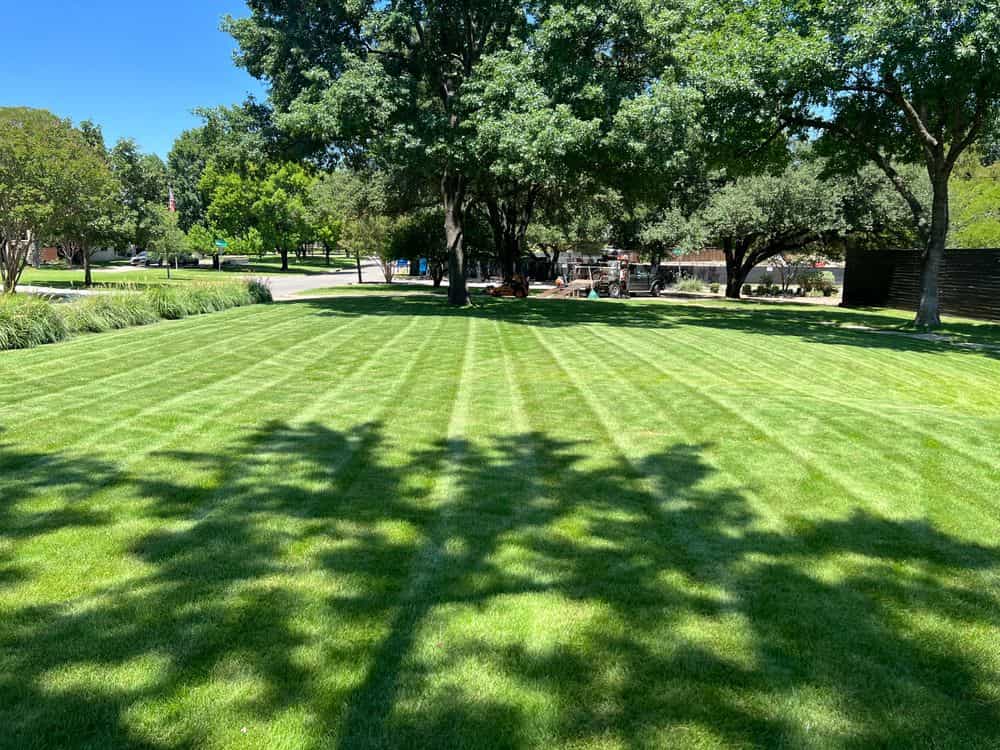 Hero image for Top Cutz Landscaping & Lawncare