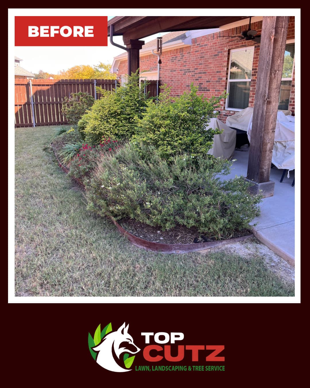 Gallery photos for Shrub Trimming That Sets Your Beds Up for Spring Success: Image #1