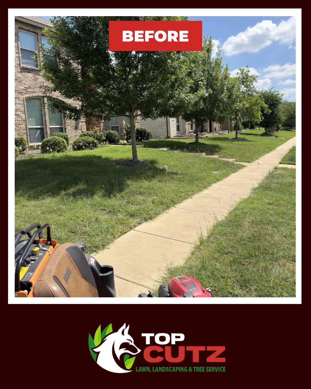 Gallery photos for From Patchy to Polished - A Full Lawn Reset: Image #1