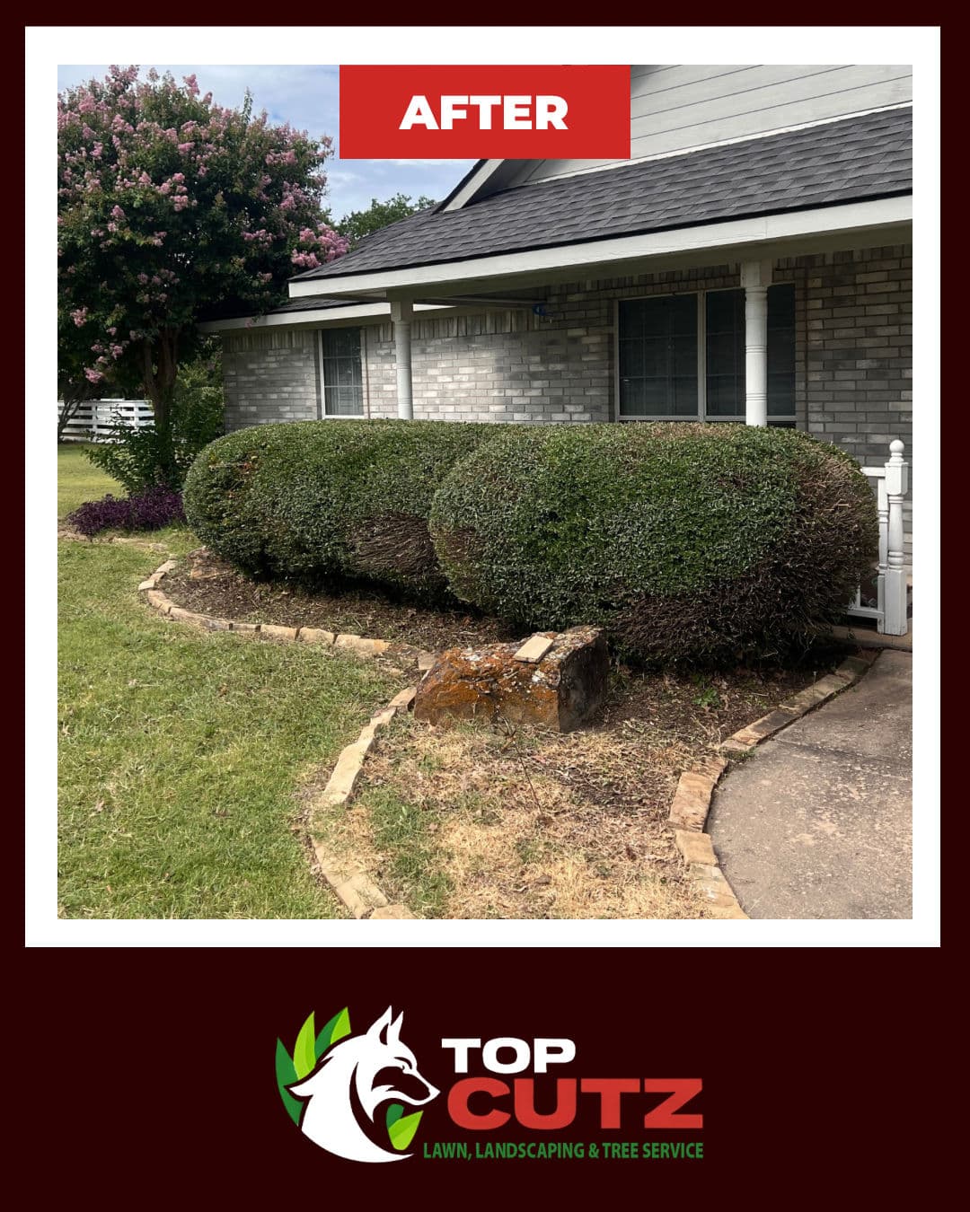 Hedge Trimming That Sharpens Your Whole Frontyard image