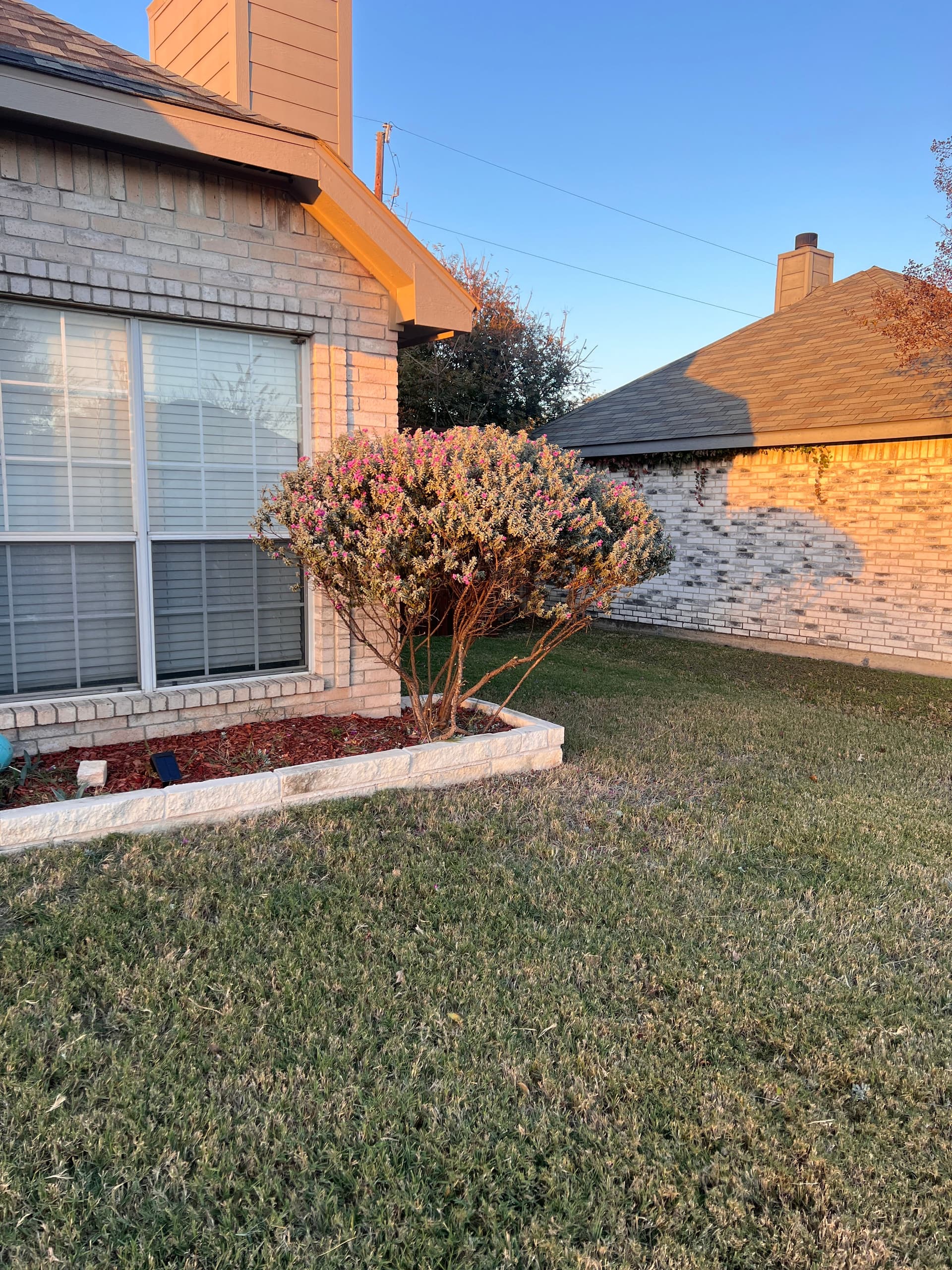 Fresh New Look for Your Front Yard