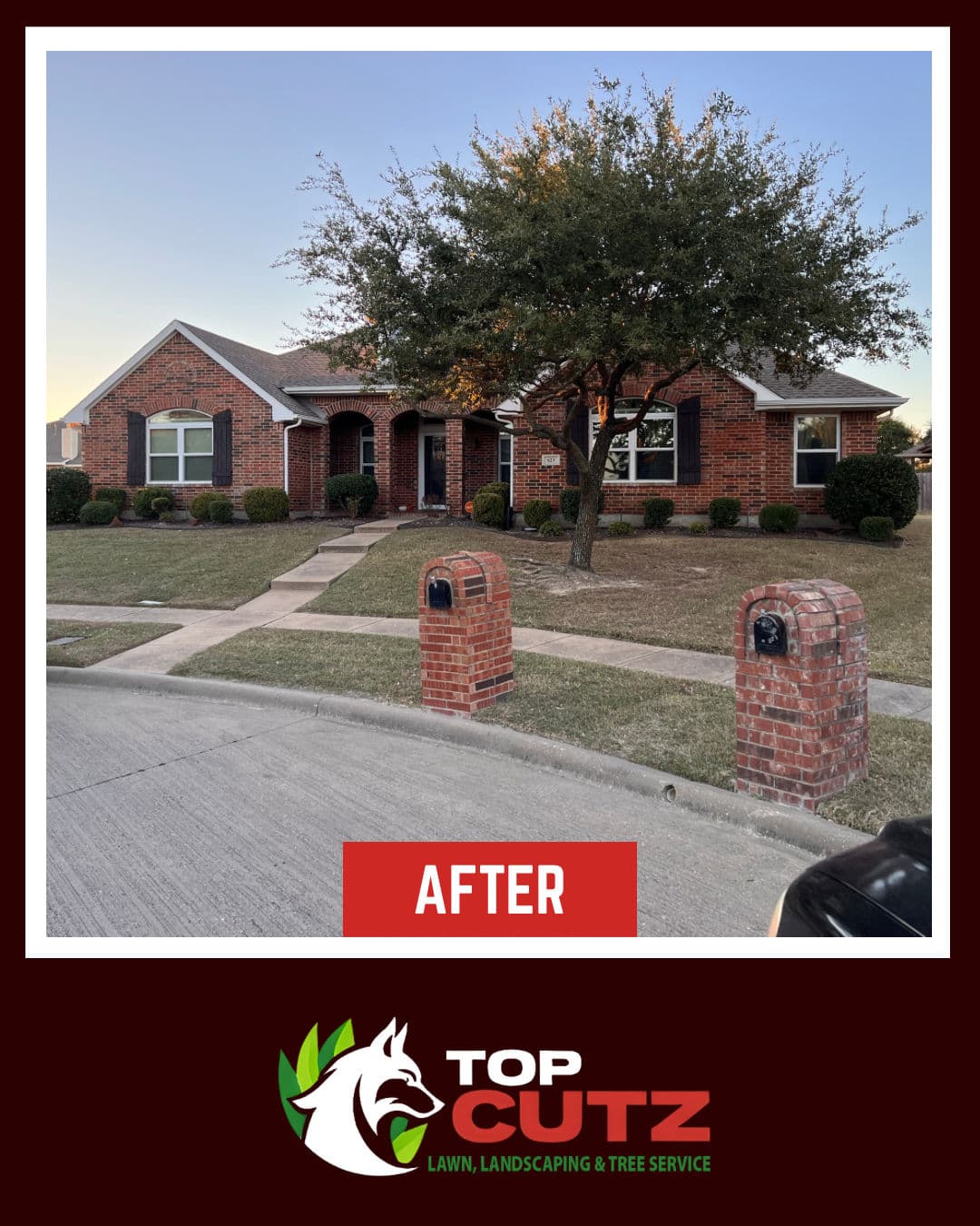 Full Yard Cleanup That Actually Makes a Difference image