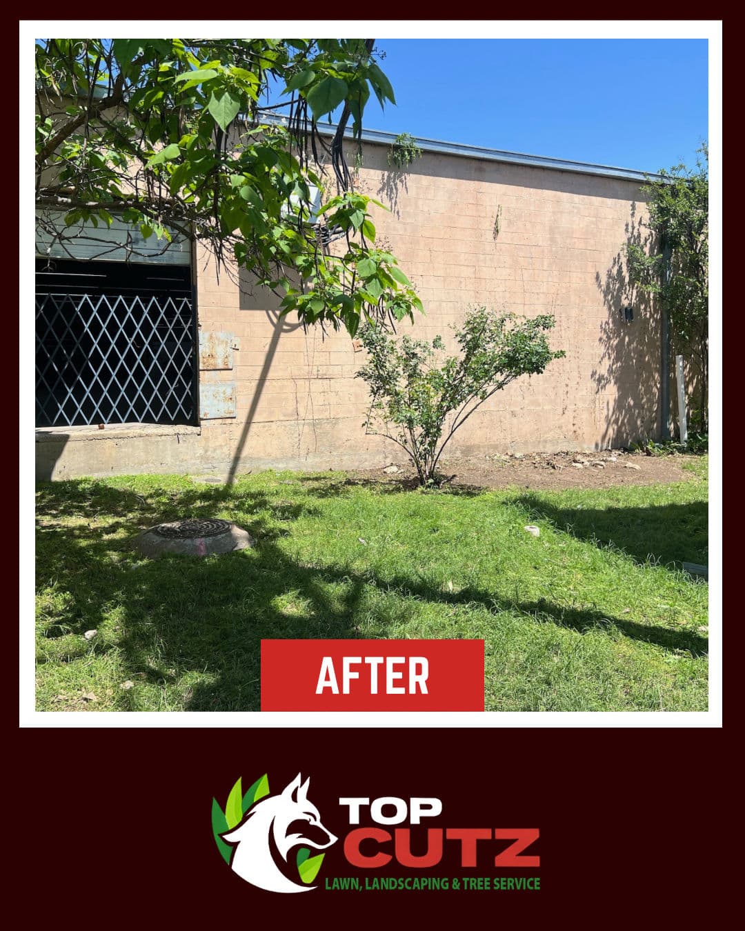 Commercial Property Overgrowth Cleared and Back Under Control image