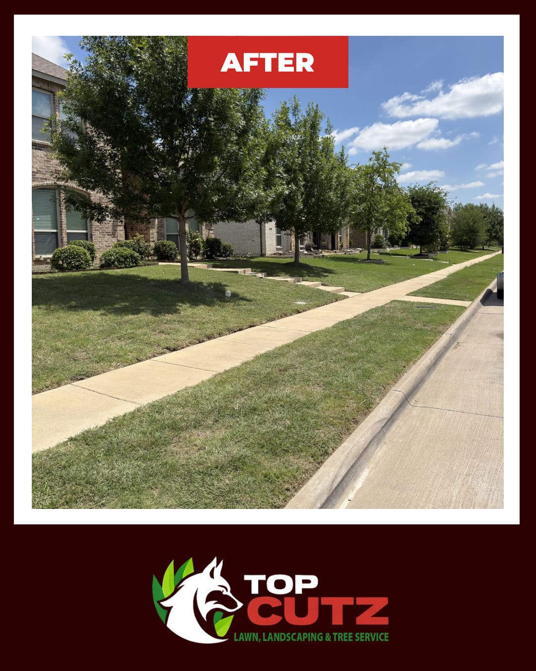 From Patchy to Polished - A Full Lawn Reset image