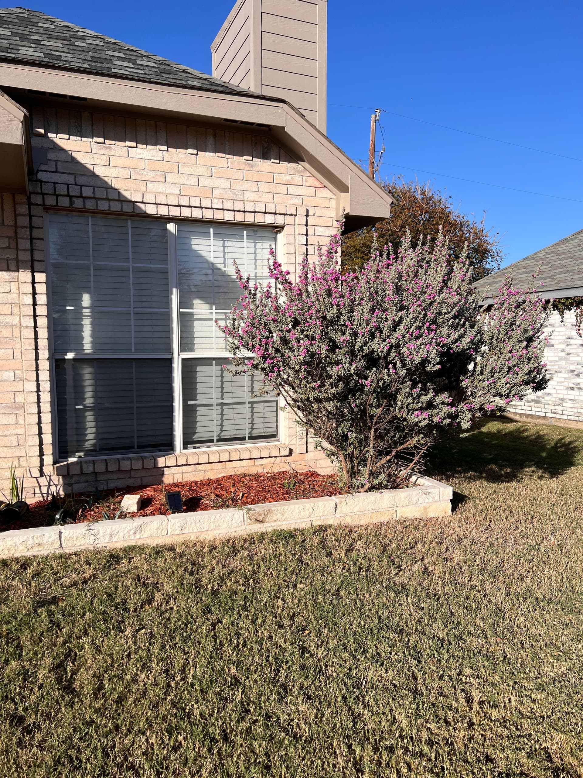 Fresh New Look for Your Front Yard