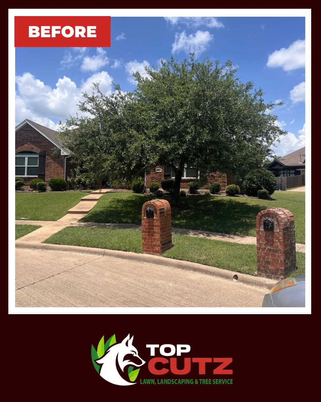 Gallery photos for Full Yard Cleanup That Actually Makes a Difference: Image #1