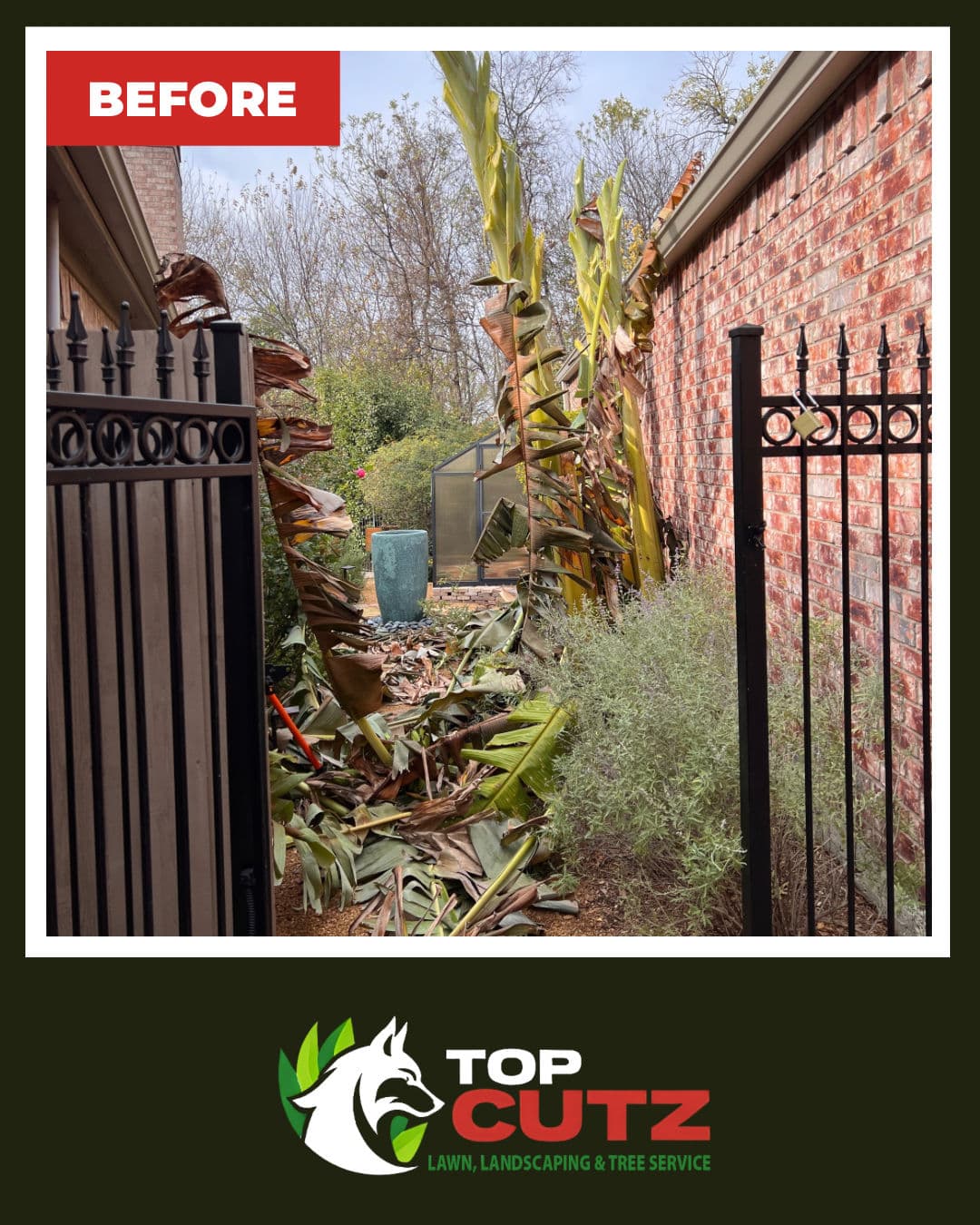 Banana Tree Removal Opens Up a Cluttered Side Yard Walkway image