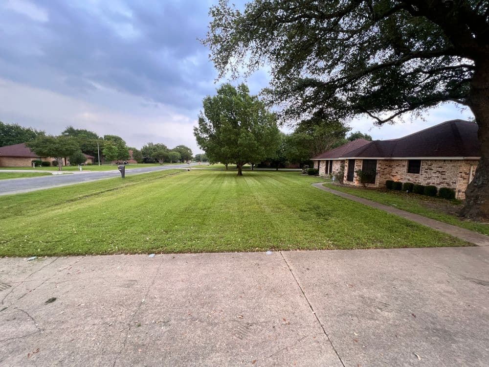 Lawn with neatly trimmed grass, trees, and suburban homes along a quiet street.