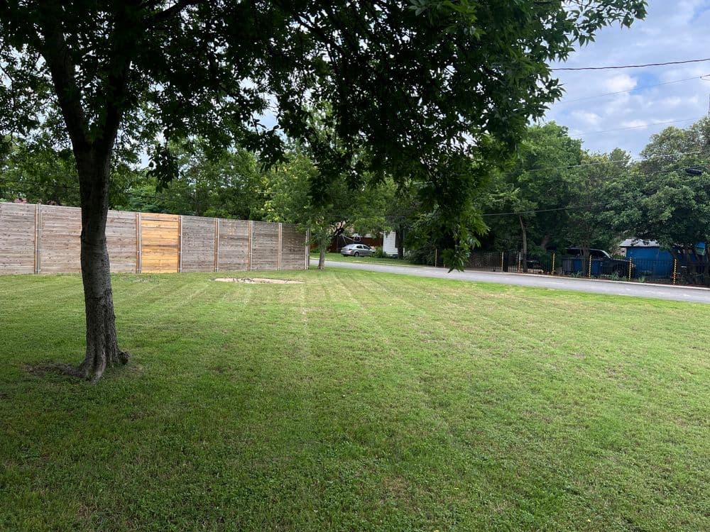 Lawn with mowed grass, a tree, and a wooden fence in a suburban neighborhood.