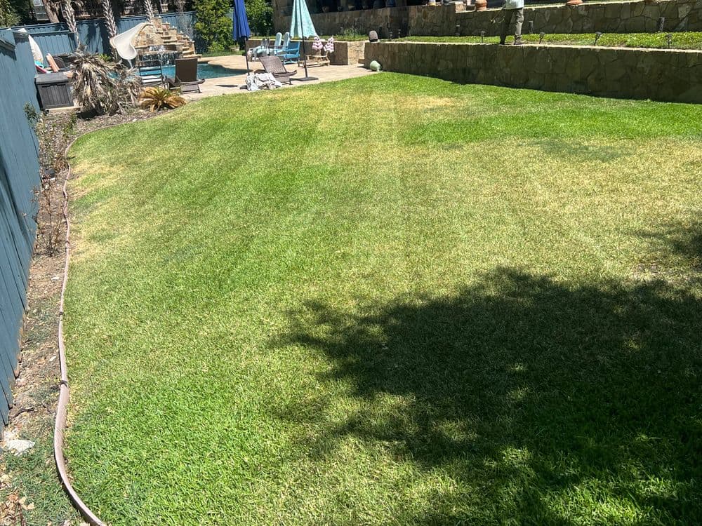 Lush green backyard lawn with neatly manicured grass and garden furniture in sunny weather.